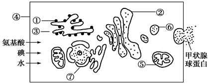 菁優(yōu)網(wǎng)