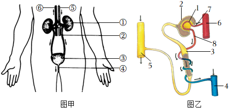 菁優(yōu)網(wǎng)