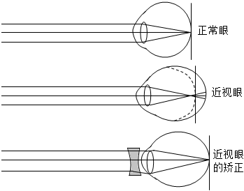 菁優(yōu)網(wǎng)