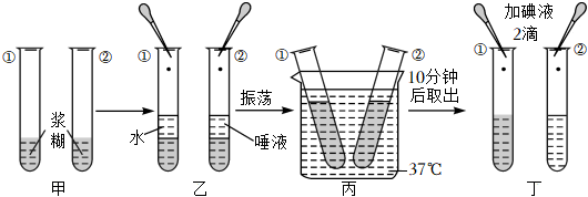 菁優(yōu)網(wǎng)