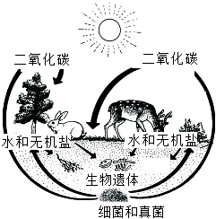 菁優(yōu)網(wǎng)