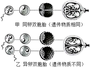 菁優(yōu)網