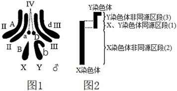 菁優(yōu)網