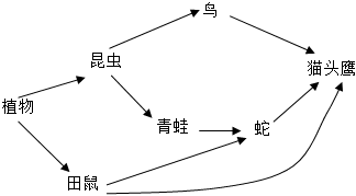 菁優(yōu)網(wǎng)