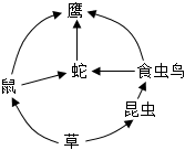 菁優(yōu)網(wǎng)