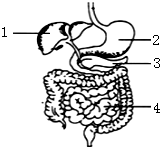 菁優(yōu)網(wǎng)