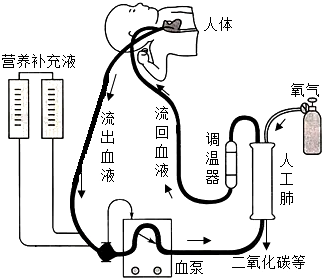 菁優(yōu)網(wǎng)