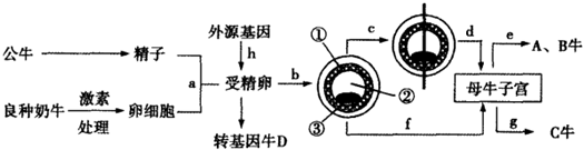 菁優(yōu)網(wǎng)