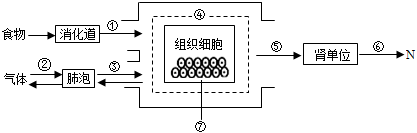 菁優(yōu)網(wǎng)