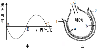 菁優(yōu)網(wǎng)