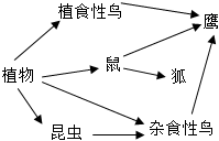 菁優(yōu)網(wǎng)