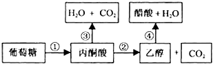 菁優(yōu)網(wǎng)