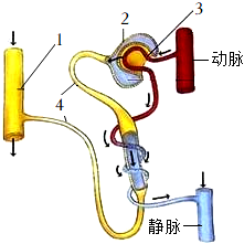 菁優(yōu)網(wǎng)