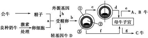 菁優(yōu)網(wǎng)