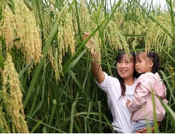 菁優(yōu)網