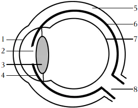 菁優(yōu)網(wǎng)