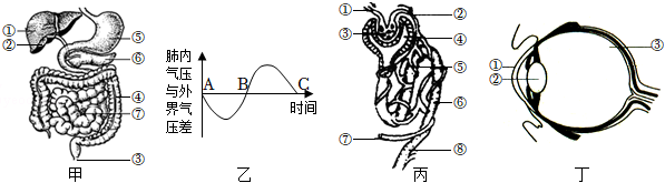 菁優(yōu)網(wǎng)