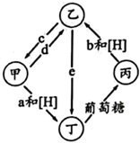 菁優(yōu)網(wǎng)