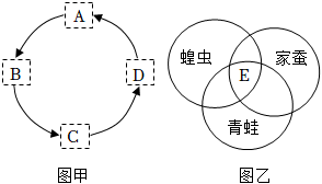 菁優(yōu)網(wǎng)