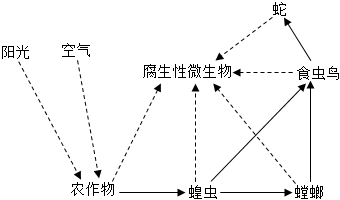 菁優(yōu)網(wǎng)