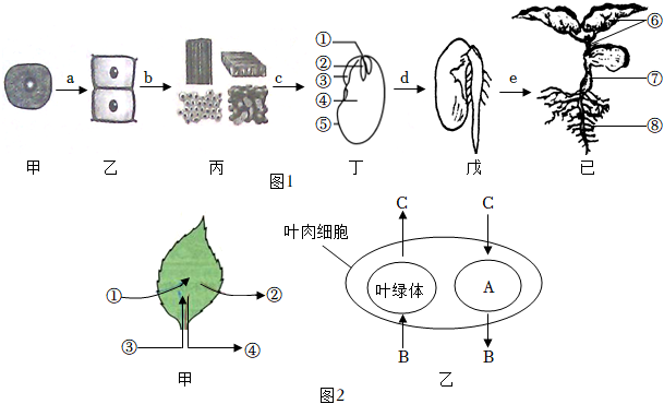 菁優(yōu)網(wǎng)