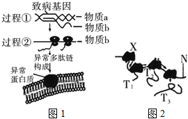 菁優(yōu)網