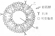 菁優(yōu)網(wǎng)