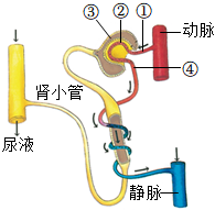 菁優(yōu)網