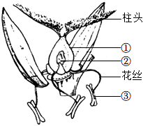 菁優(yōu)網(wǎng)