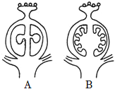 菁優(yōu)網(wǎng)