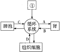 菁優(yōu)網(wǎng)