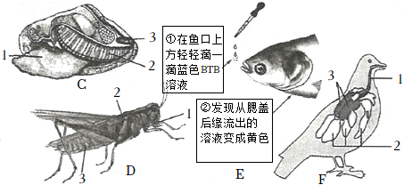 菁優(yōu)網(wǎng)