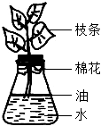 菁優(yōu)網(wǎng)