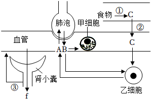 菁優(yōu)網(wǎng)