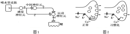 菁優(yōu)網(wǎng)