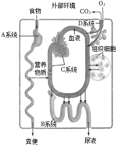 菁優(yōu)網(wǎng)