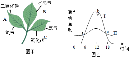 菁優(yōu)網(wǎng)