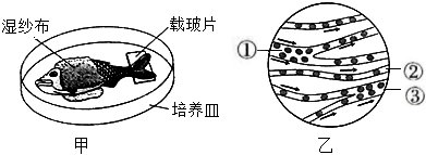 菁優(yōu)網(wǎng)