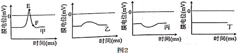 菁優(yōu)網(wǎng)