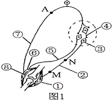 菁優(yōu)網(wǎng)