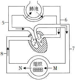 菁優(yōu)網(wǎng)