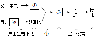 菁優(yōu)網