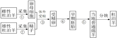 菁優(yōu)網