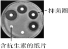 菁優(yōu)網