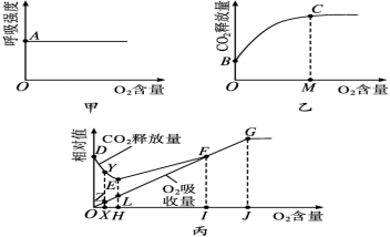 菁優(yōu)網