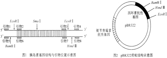 菁優(yōu)網