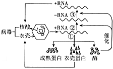 菁優(yōu)網(wǎng)