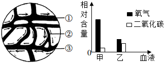 菁優(yōu)網(wǎng)