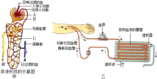 菁優(yōu)網