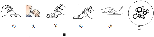 菁優(yōu)網(wǎng)